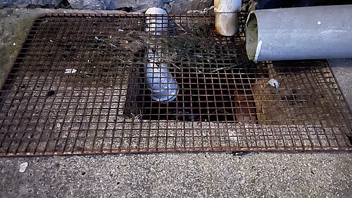 A drain